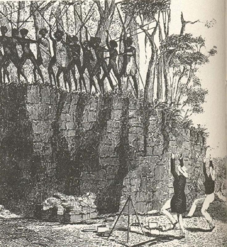 william r clark tva officerare fran  orlogsfartyget beagle tvingas att dansa for att radda sina liv vid en land stigning pa australiens nordkust 1837-43.